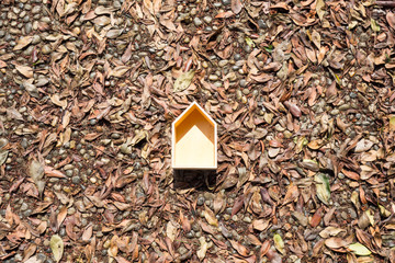 枯葉の上の一軒家