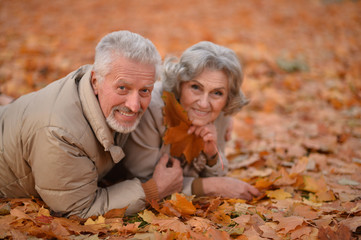 Senior couple in autumn park