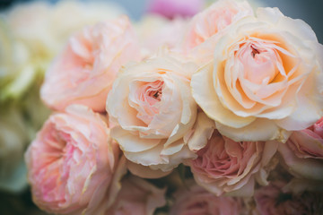 Bouquet of roses close-up