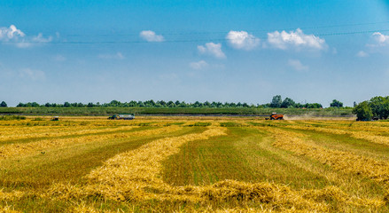 threshing machine