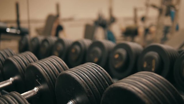 Rows of dumbbells in modern sports club