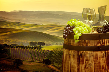 Obrazy na Plexi  Białe wino z beczką na winnicy w Chianti, Toskania, Włochy