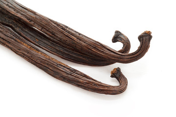 Organic dry sticks of Vanilla (Vanilla planifolia) isolated on white background. Macro close up. Top view.