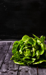 Head of fresh green salad with water drops on a dark wooden background 