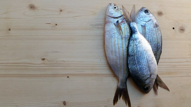 fresh bream