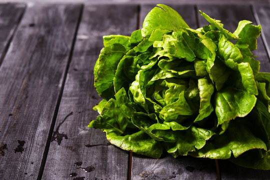 Head of fresh green salad with water drops on a dark wooden background 