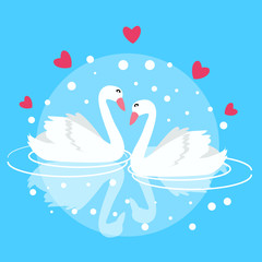Fototapeta premium two swan swimming fall in love couple marriage symbol decorative