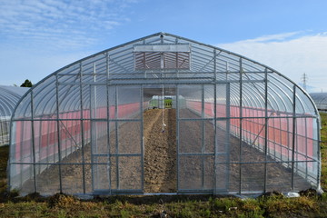 Fototapeta premium 新しく設営されたビニールハウス