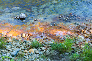 Yellow water near the shore of a mountain river