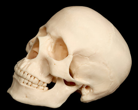 Human skull isolated on black background
