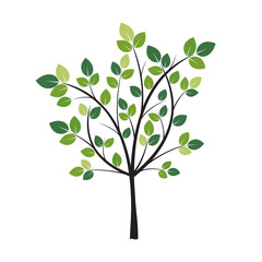 Green Tree and roots. Vector Illustration.