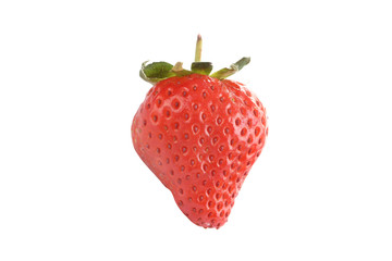 Fresh strawberry fruits