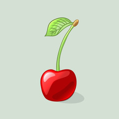 Juicy and ripe red cherry. Vector illustration