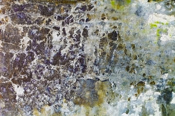 Time and water destroyed wall