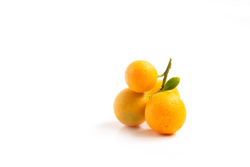 Orange Kumquat placed on white background