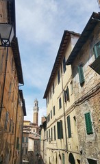 Siena © michalsen