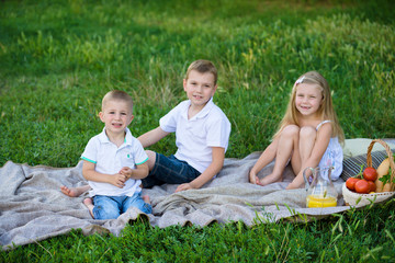 Picnic basket and children in the park