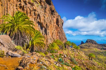 Zelfklevend Fotobehang Amazing volcanic scenery with palm trees, Canary Islands, Spain © JFL Photography