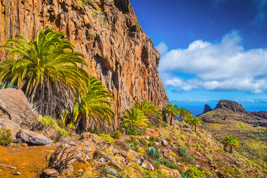 Amazing volcanic scenery with palm trees, Canary Islands, Spain