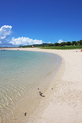 Obraz premium トロピカルビーチ