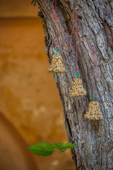 Bird feed for winter