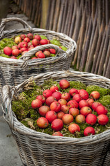 Cozy Christmas decoration