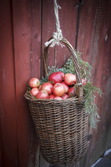 Cozy Christmas decoration