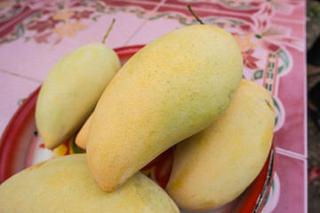 Naklejka na ściany i meble Mango fruit on tray