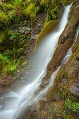 Waterfall in a mossy cliff