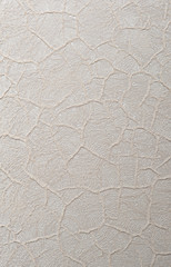 Cracked texture