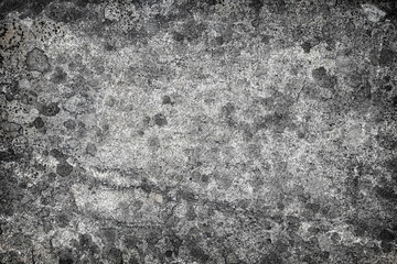 Granite with lichen stains - stone background