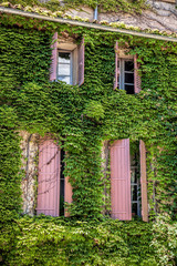 Fototapeta na wymiar Old house with green leaves in Provence, France