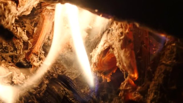 Bright burning wood in campfire. Glowing wood logs and coals in fireplace. 