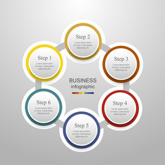 Vector infographic template