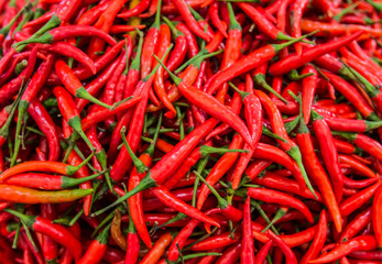 Red Chillies Background,Selective focus
