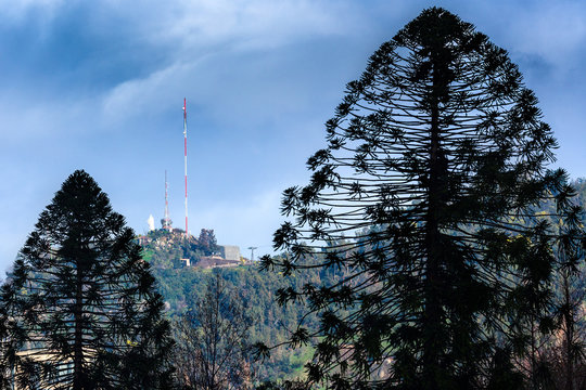 San Cristobal Hill In Santiago De Chile