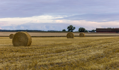 Fototapeta premium Straw bales on a farm