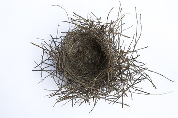 Empty nest on a white background