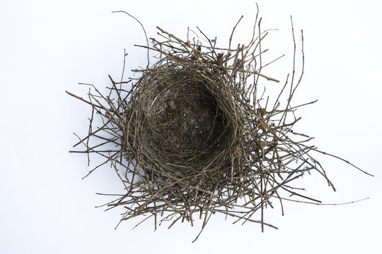 Empty Nest On A White Background