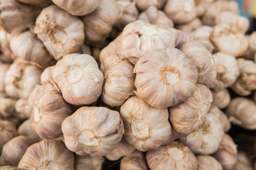 Big Red Onions Background