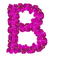 Fototapeta na wymiar Letters made of pink flowers. B letter - flower alphabet