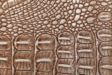 Brown leather texture background. Closeup photo. Reptile skin.
