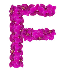 Fototapeta na wymiar Letters made of pink flowers. F letter - flower alphabet