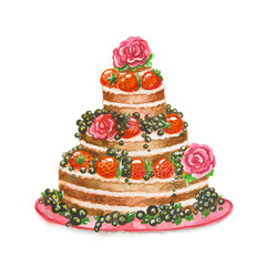 Isolated beautiful painted watercolor cake with blackberries, srawberries and roses. Birthday present or holiday tasty meal. isolated on white