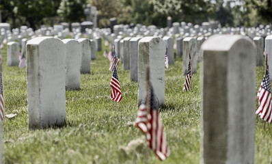 Flags on Grave Sites at Arlington National Cemetery on Memorial Day