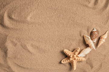 Starfish and shells with sand as background. Sand texture
