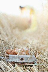 fresh bakery in wheat field