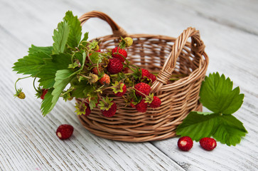 Fototapeta na wymiar Basket with wild strawberries