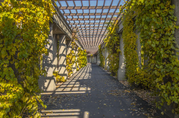 pergola w wrocławskim parku