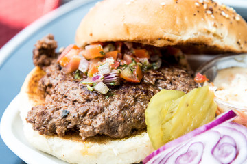 Cheese burger - American cheese burger with Golden French fries